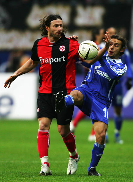 节展现了强 节展现了强