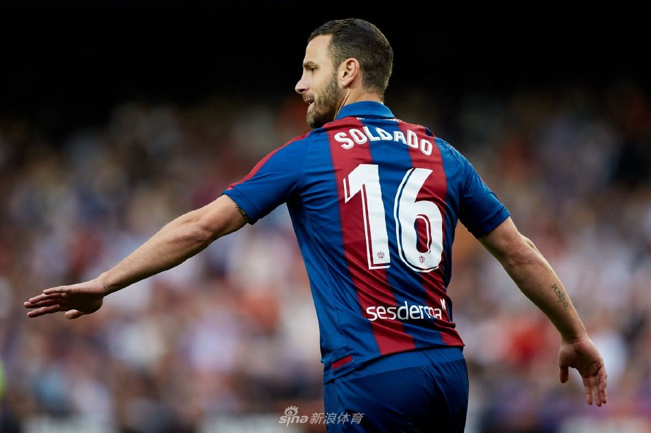 他于指定日 他于指定日